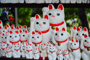 テルルイオン 新浦安店が開店